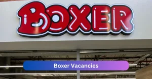Boxer Vacancies 2025 Reveal x17 jobs @boxer.co.za