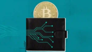 Top Crypto Wallets Safe Choices for Storing Digital Assets